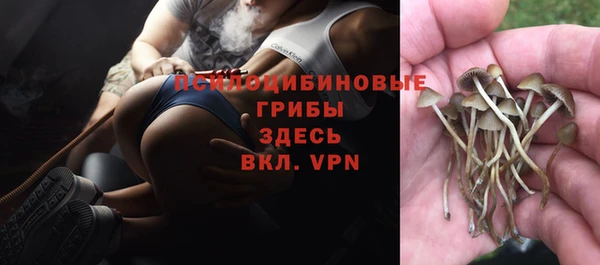 бутират Верхний Тагил