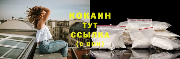 мяу мяу мука Бородино