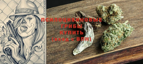 мяу мяу мука Бородино