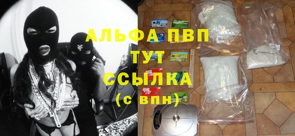 мяу мяу мука Бородино