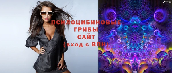 мяу мяу мука Бородино