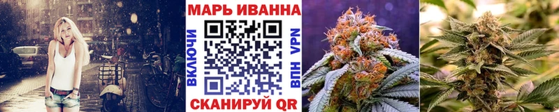 kraken сайт  Цоци-Юрт  Шишки марихуана сатива 